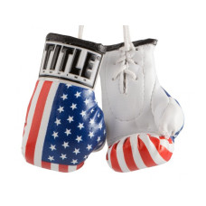 Сувенірні міні-рукавички TITLE