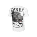 Футболка PIT BULL Origin T-shirt