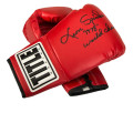Сувенірні рукавички для автографів TITLE Boxing Autograph Gloves
