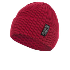 Шапка зимова PIT BULL Silvas