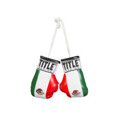 Сувенірні міні-рукавички TITLE