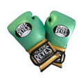 Тренувальні рукавички CLETO REYES WBC Velcro Closure