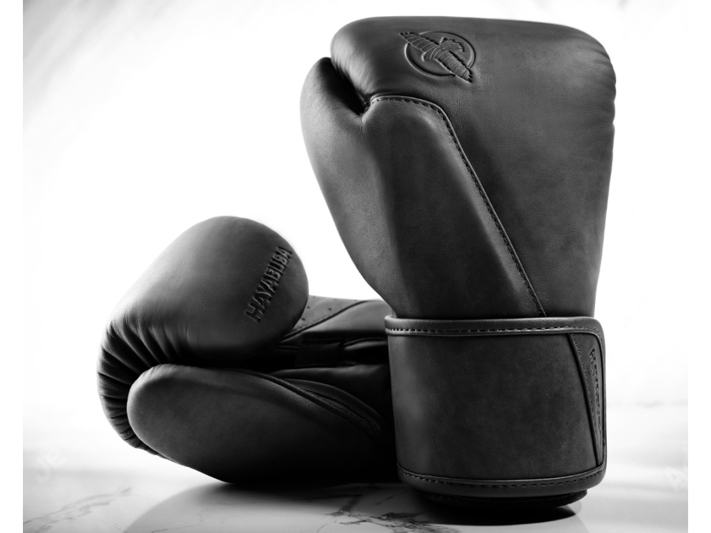 Боксерські рукавички HAYABUSA T360 Leather Boxing Gloves