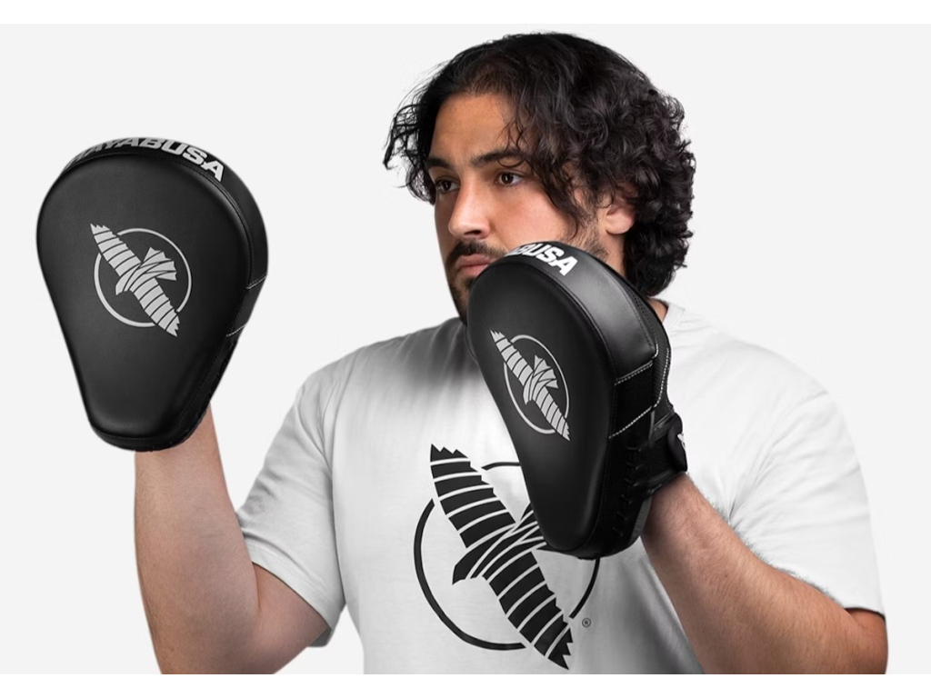 Лапи HAYABUSA Focus Mitts