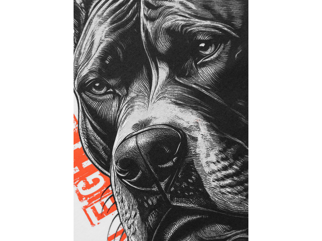 Футболка PIT BULL Blacky T-shirt