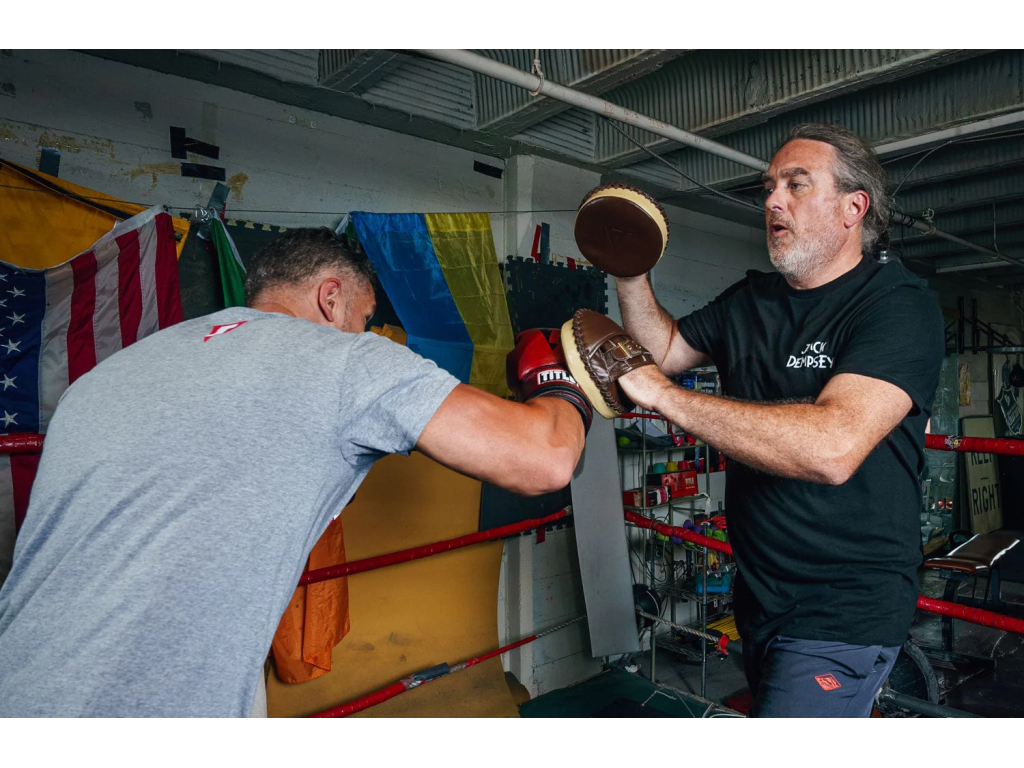 Лапи TITLE Boxing Retro Old School Punch Mitts