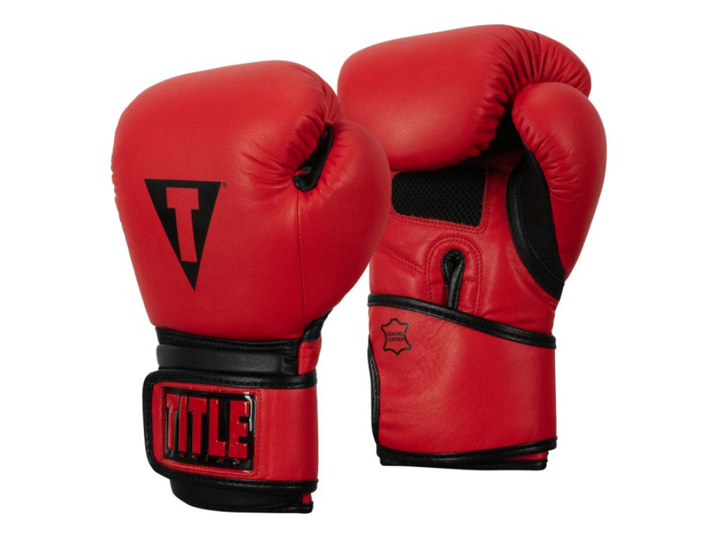 Тренувальні рукавички TITLE Boxing Dauntless Training Gloves