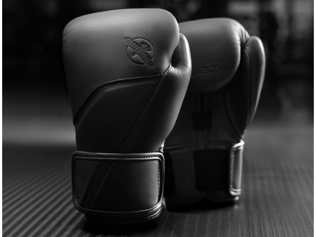 Боксерські рукавички HAYABUSA E1 Leather Boxing Gloves
