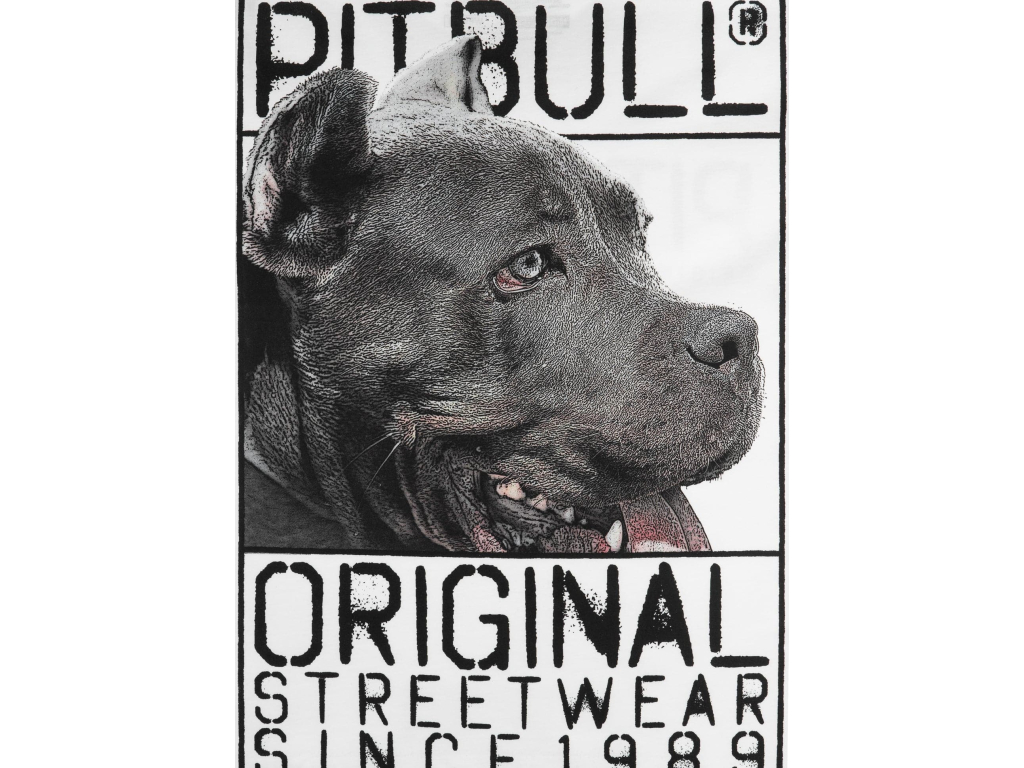 Футболка PIT BULL Origin T-shirt