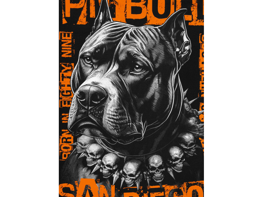 Футболка PIT BULL Blacky T-shirt