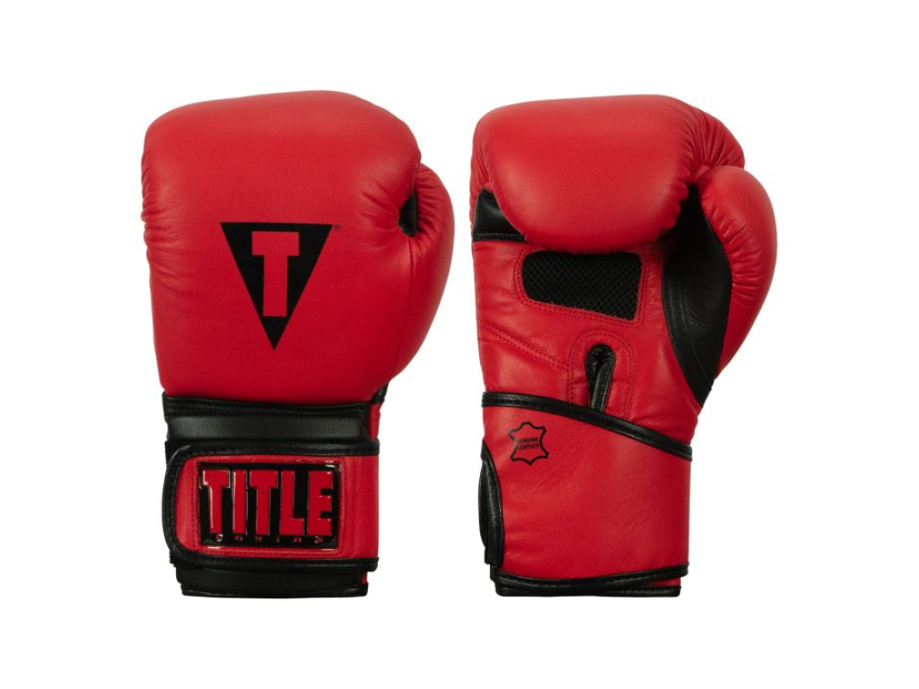Тренувальні рукавички TITLE Boxing Dauntless Training Gloves