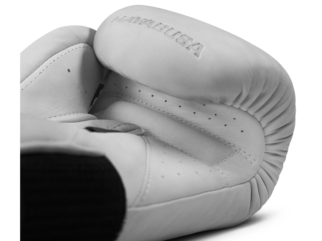 Боксерські рукавички HAYABUSA T360 Leather Boxing Gloves