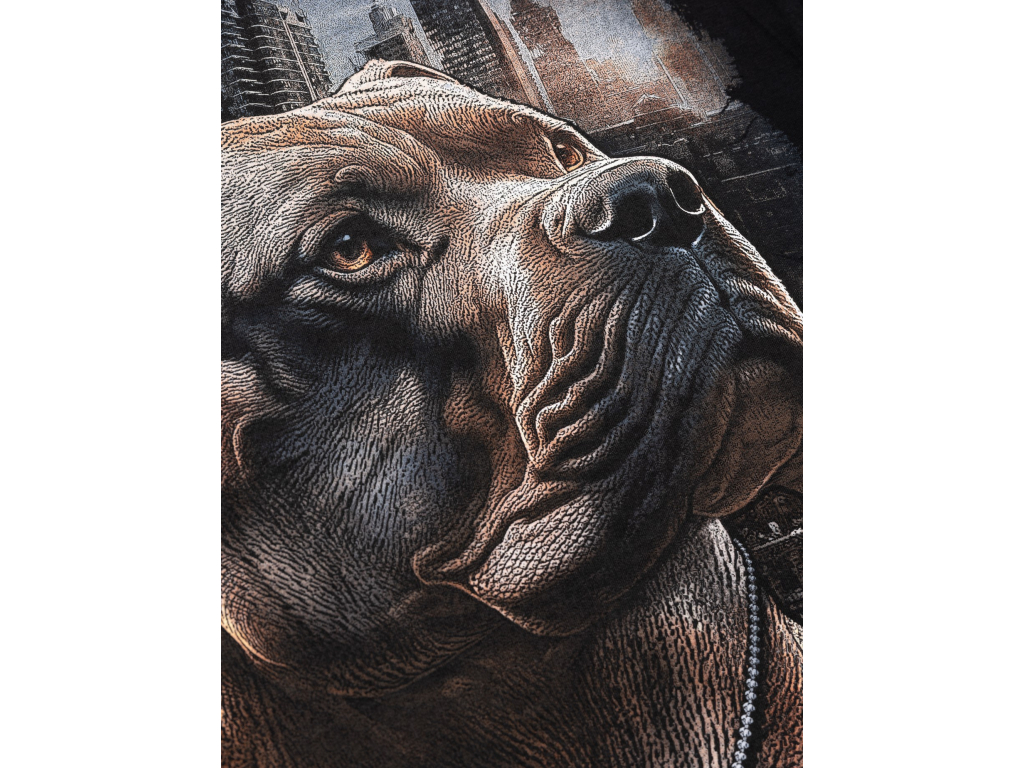 Футболка PIT BULL Hero T-Shirt