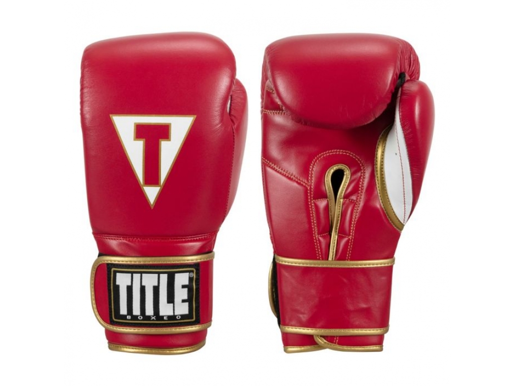 Перчатки тренировочные TITLE Boxeo Mexican Leather Training Gloves Quatro