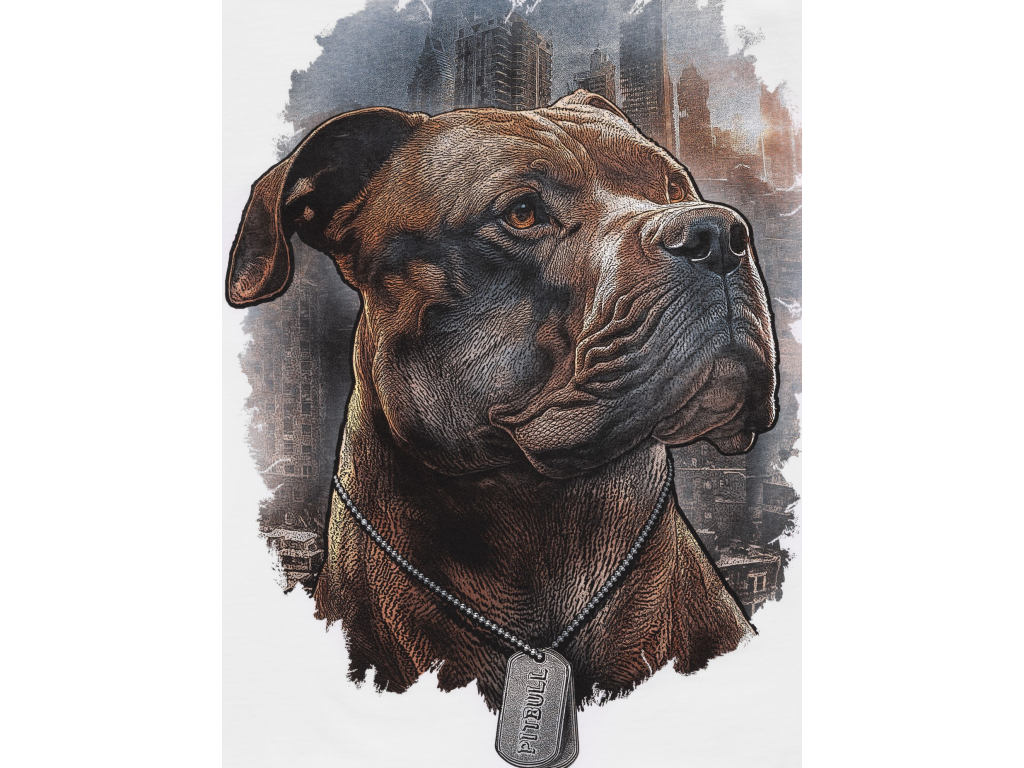 Футболка PIT BULL Hero T-Shirt