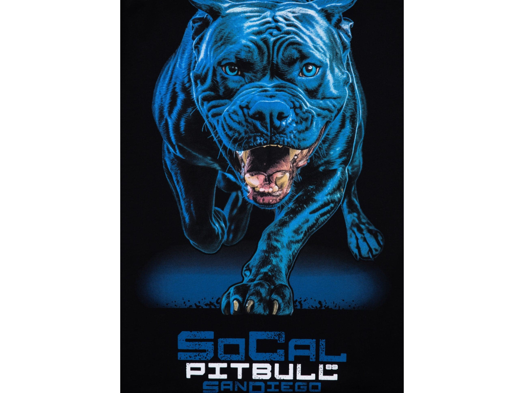 Футболка PIT BULL In Blue T-shirt