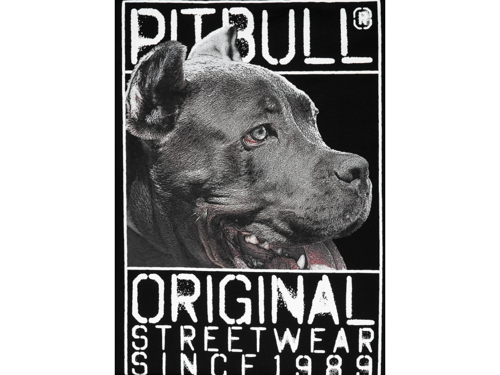 Футболка PIT BULL Origin T-shirt