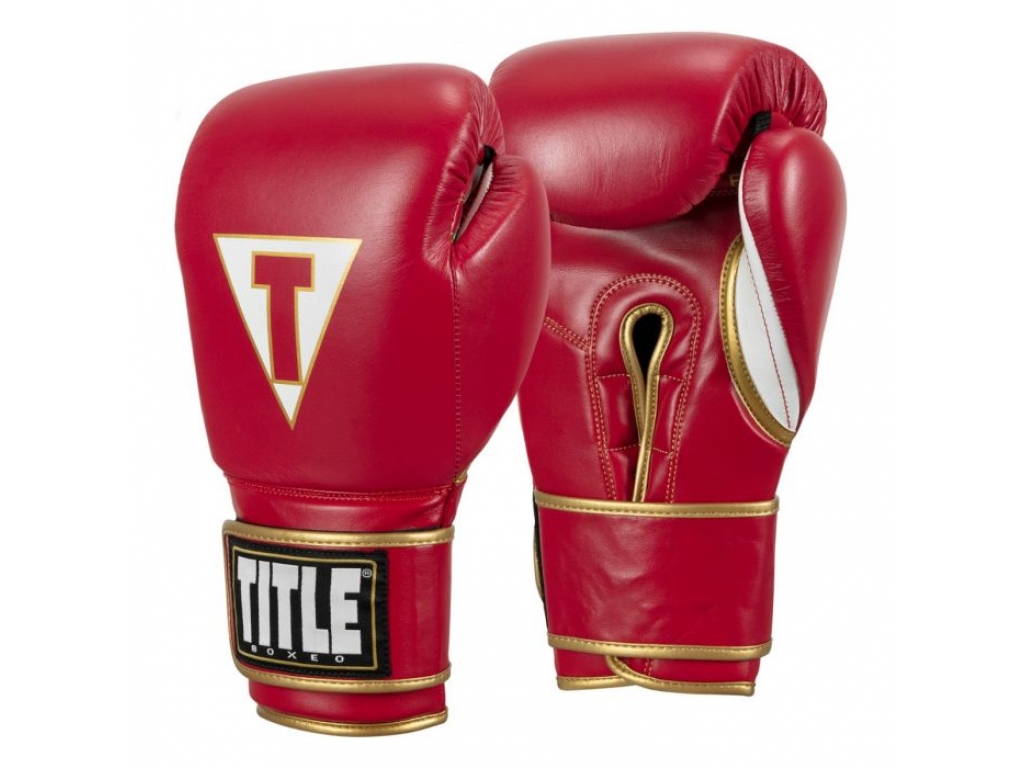 Перчатки тренировочные TITLE Boxeo Mexican Leather Training Gloves Quatro