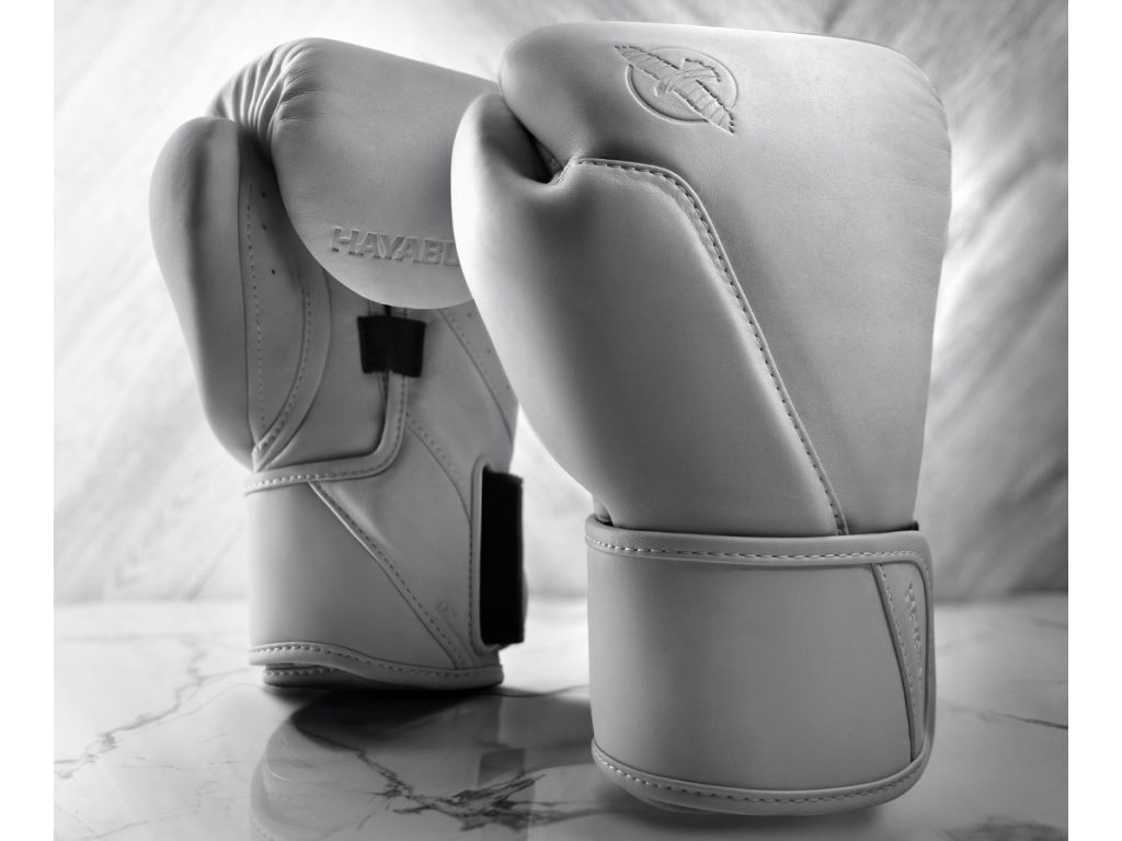 Боксерські рукавички HAYABUSA T360 Leather Boxing Gloves