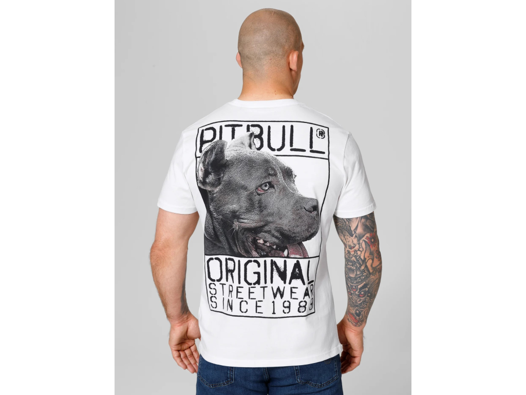 Футболка PIT BULL Origin T-shirt