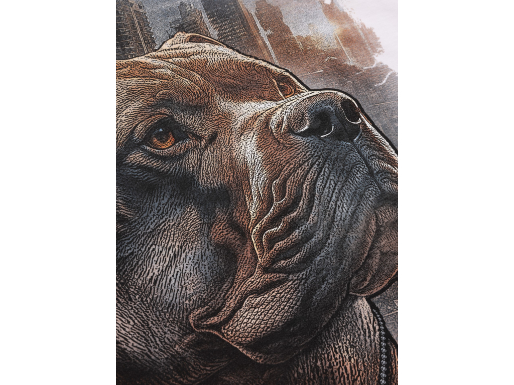 Футболка PIT BULL Hero T-Shirt