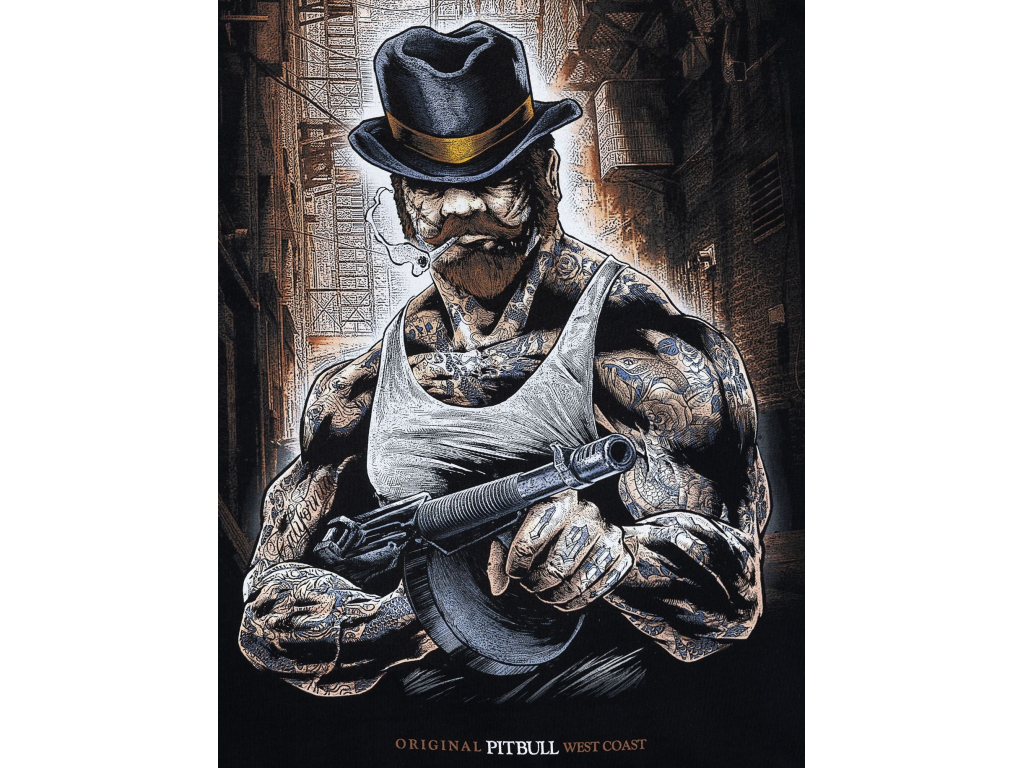 Футболка PIT BULL Hatter